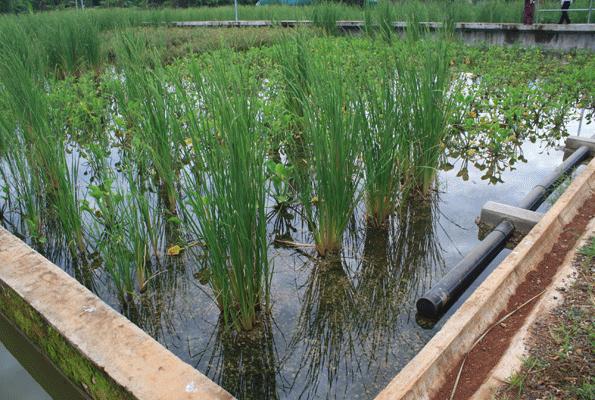 Dissolved Oxygen in Water: Importance for Ecology, Drinking Water, Boilers and Online Monitoring project image