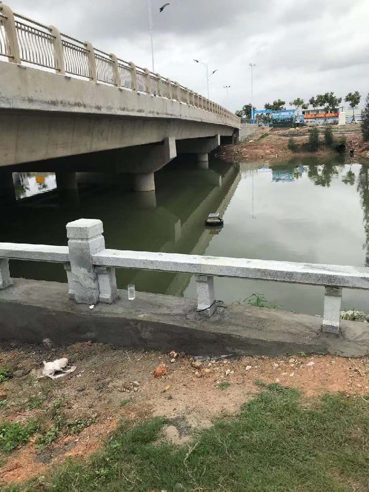 Egypt Nile Irrigation Canal Water Quality Monitoring Reference Case: Online Sensors for Turbidity, COD and Conductivity