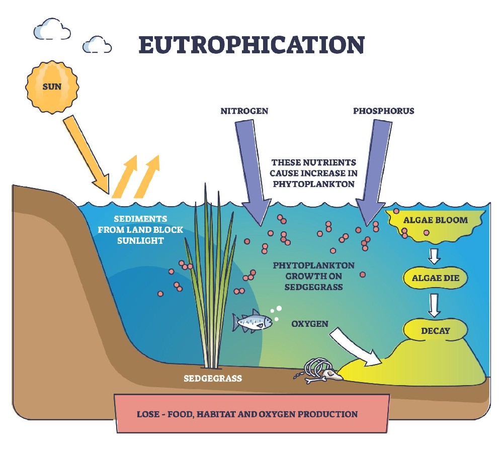Remote Dashboard Data for Water Treatment: What Values Deserve Operator Attention
