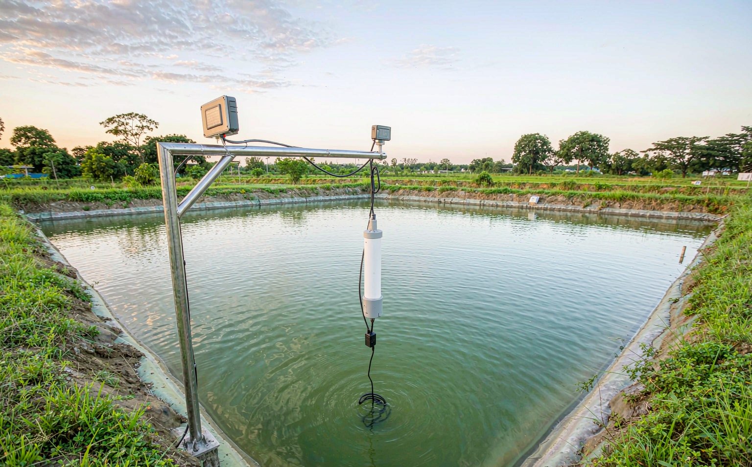 Water quality sensor probe with solar-powered data logger mounted over an aquaculture pond