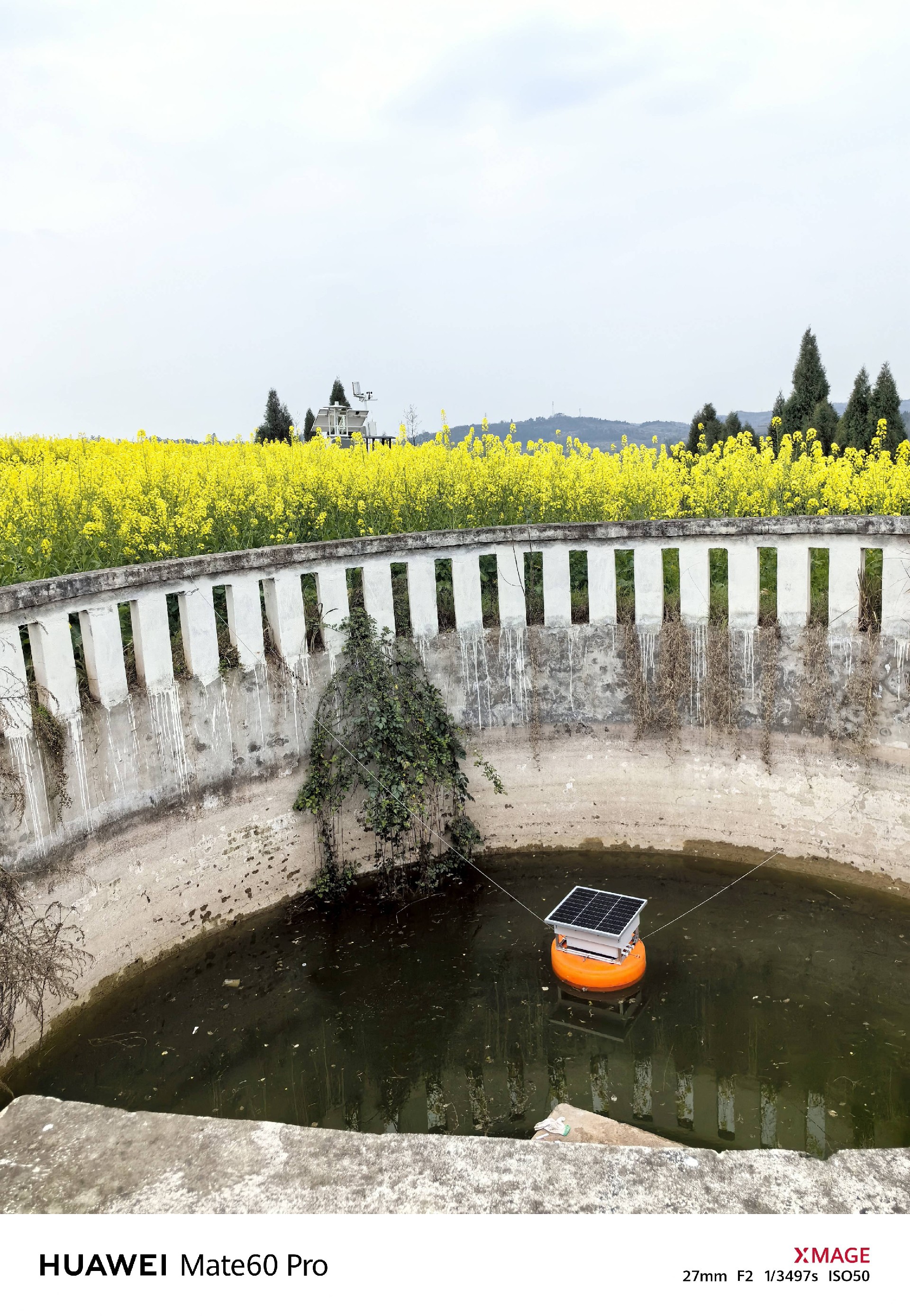 Swimming Pool Water Treatment: Online Monitoring for Filtration, Disinfection, pH and Turbidity Control project image