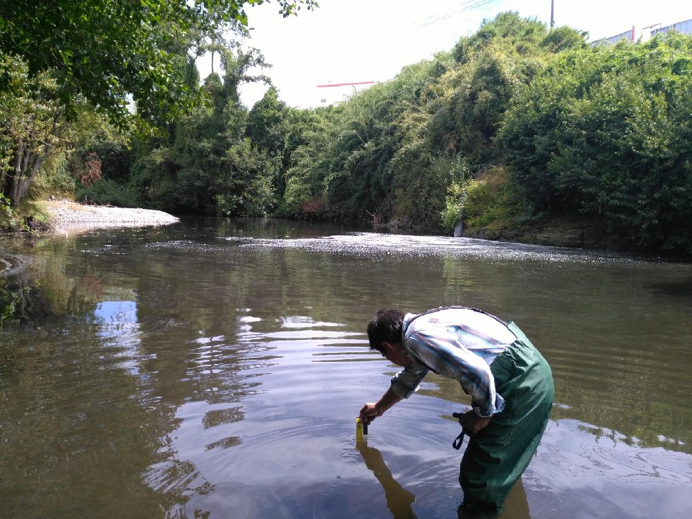 What Is Turbidity in Water Quality Monitoring? NTU, 90-Degree Scattering and Online Sensors