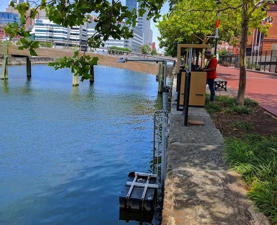 Aquaculture Sensor Maintenance: How to Keep DO, pH and Ammonia Data Trustworthy