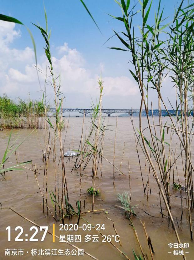 Nanjing Riverside Ecological Park water quality monitoring site