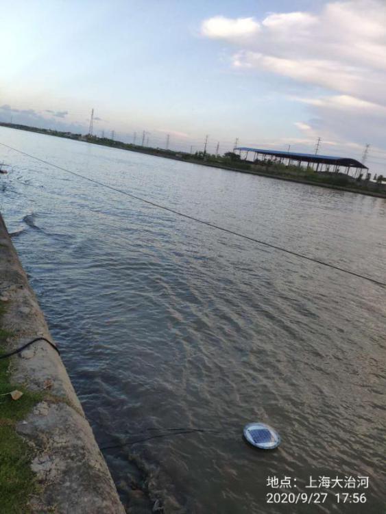 Shanghai Dazhi River Water Quality Monitoring Case: COD and Ammonium Nitrogen Monitoring for a Wide Artificial River