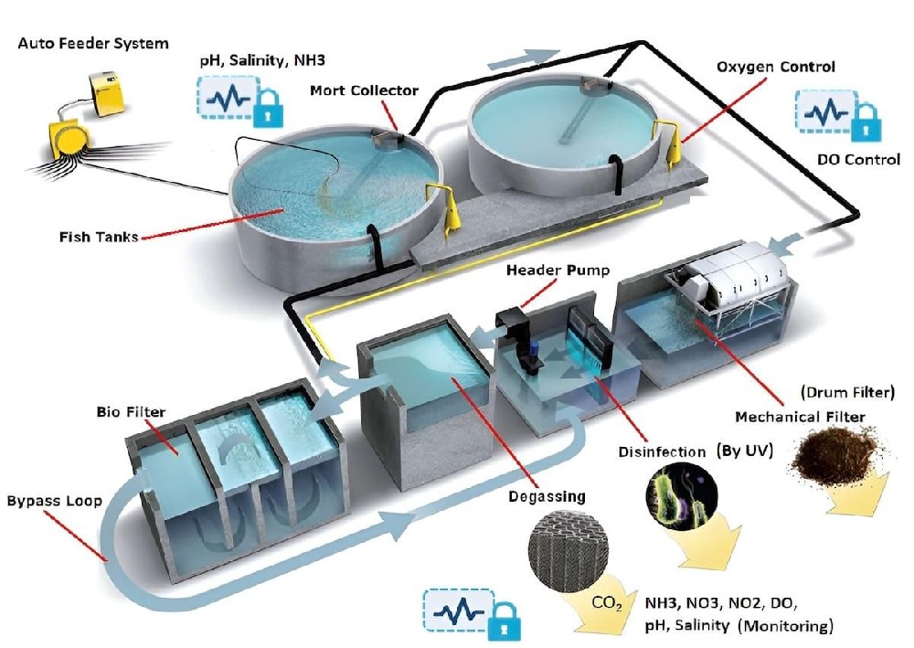 RAS water quality monitoring system application scene