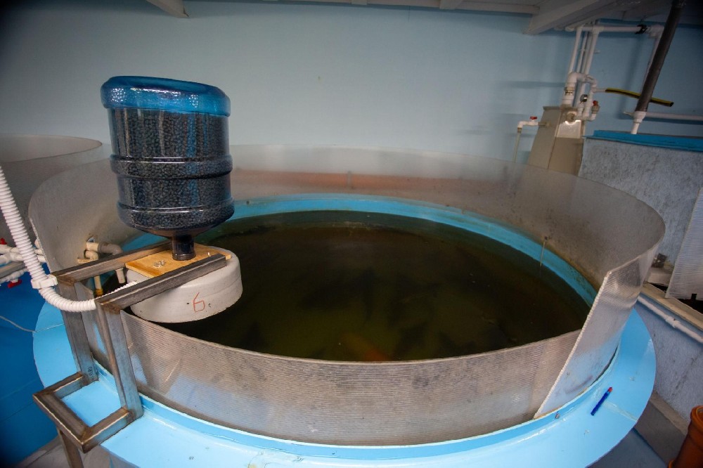 Process Mixing Tank Monitoring: pH, ORP and Conductivity Feedback After Dosing